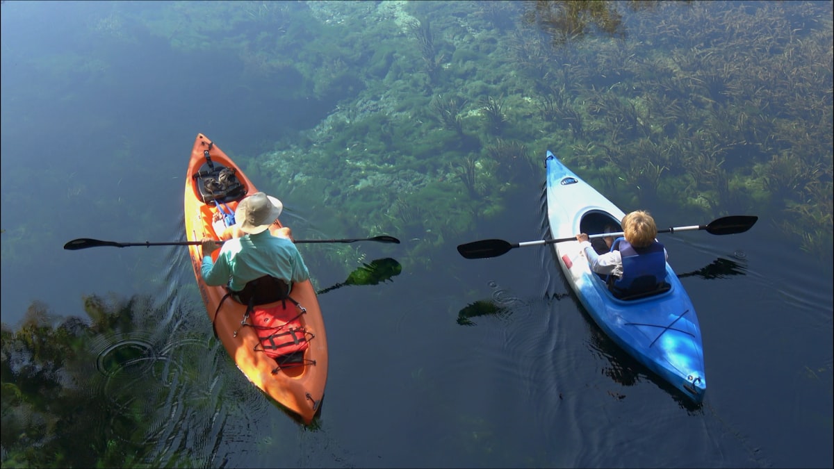Things to Do in Crystal River and Homosassa: A Complete Guide