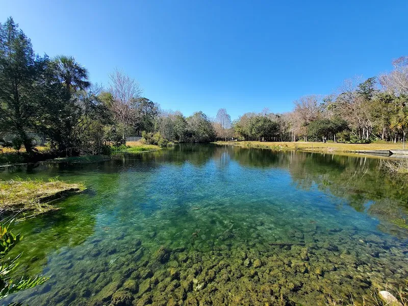 Bluebird Springs Park