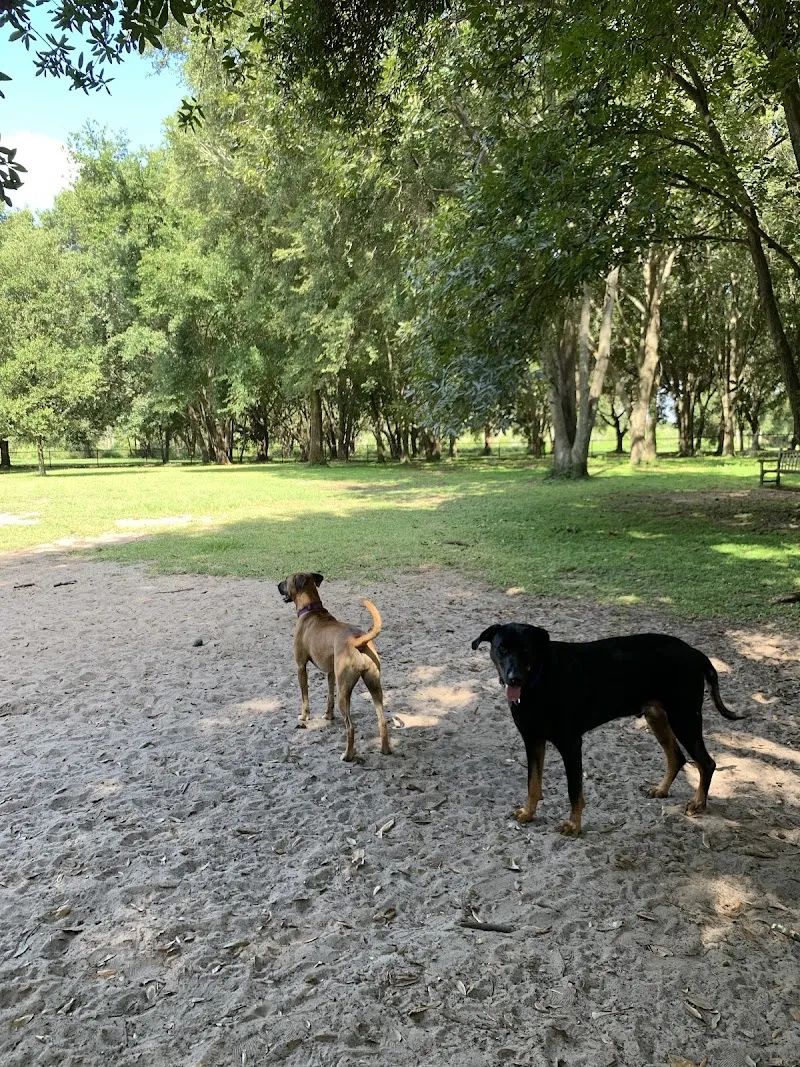 Clermont Dog Park