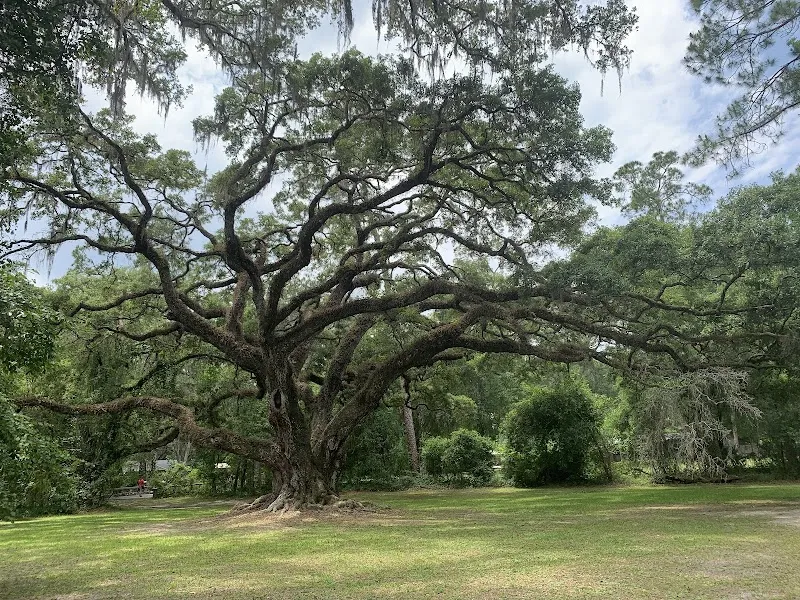 Dade Battlefield Historic State Park - Attraction in Bushnell