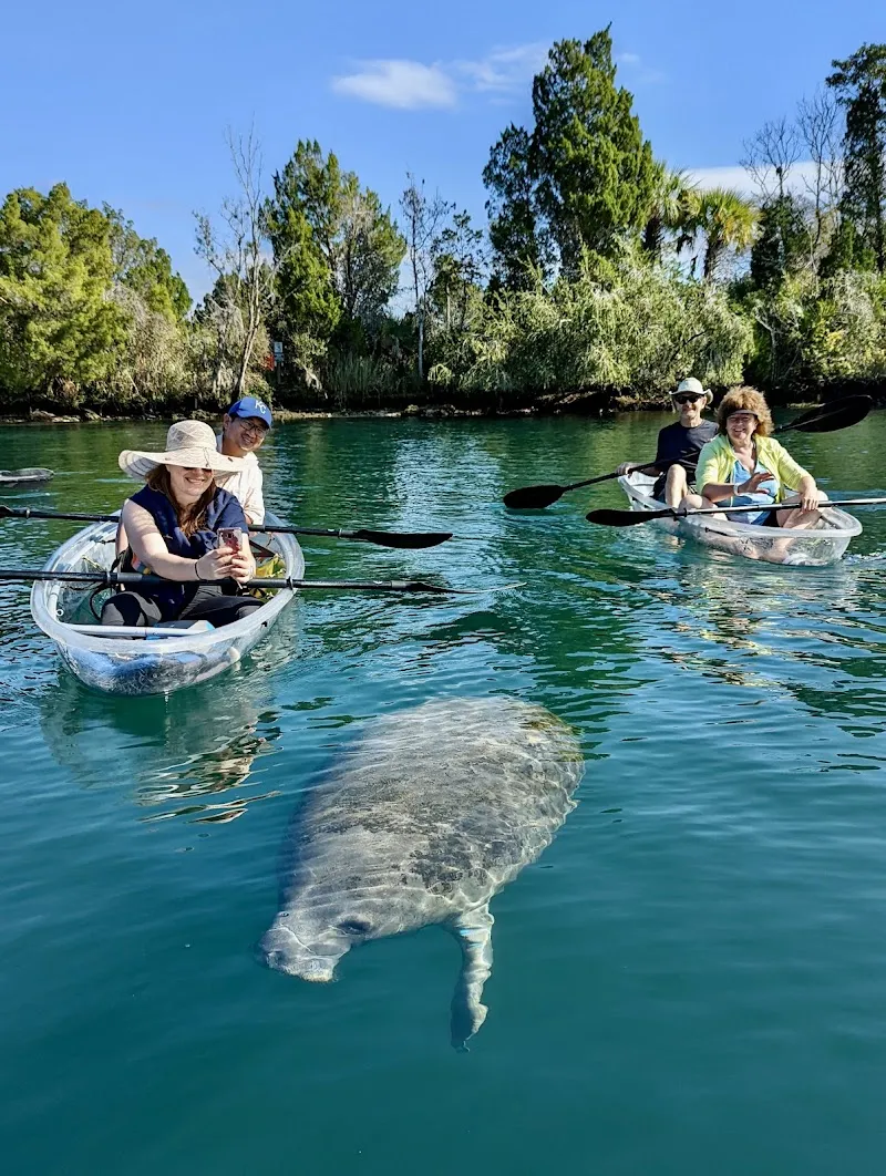 Get Up and Go Kayaking