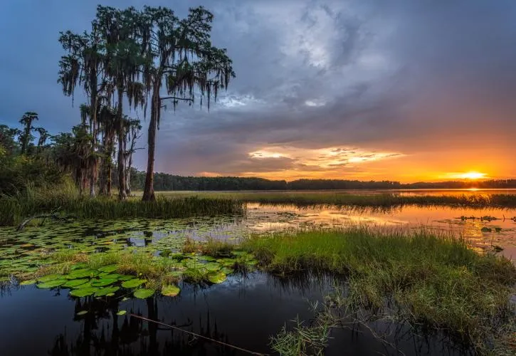 Lake Louisa State Park
