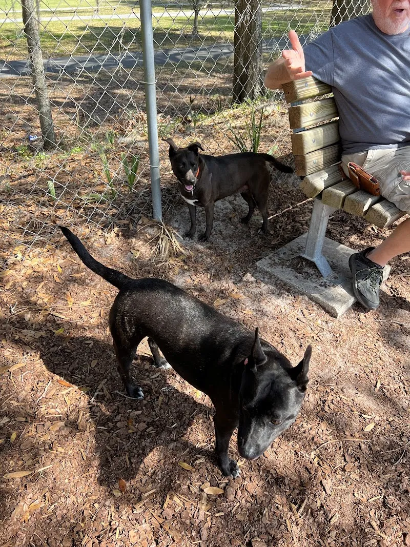 Letty Towles Dog Park