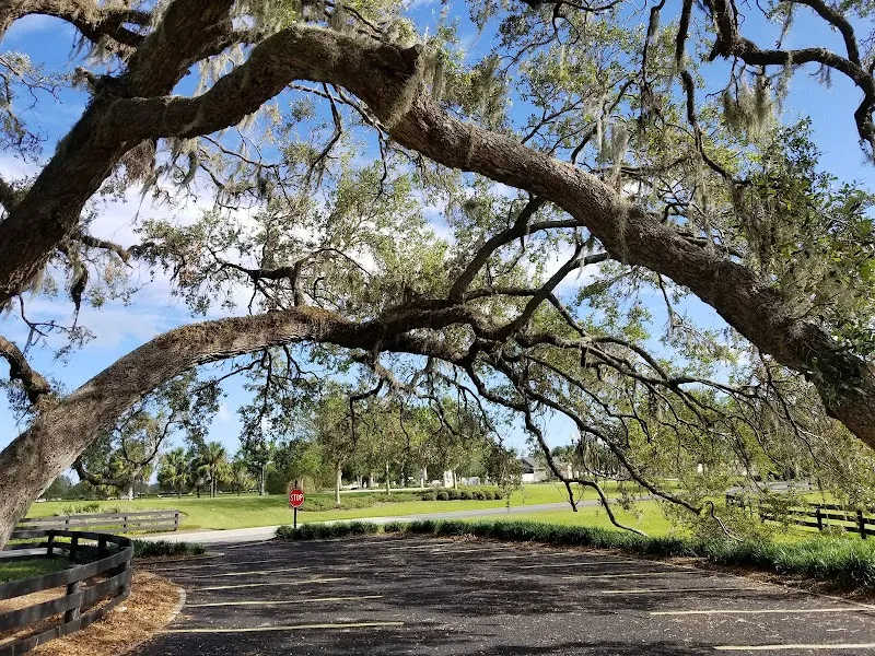 Live Oaks Park