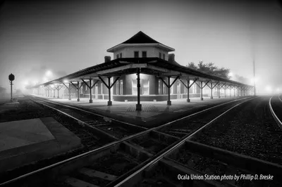 Magnolia Art Xchange