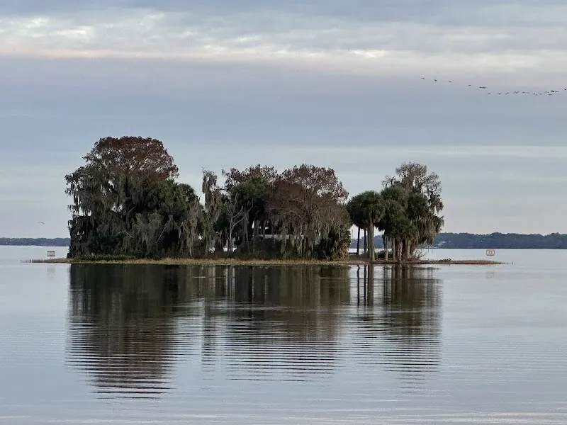 Monkey Isle City Park