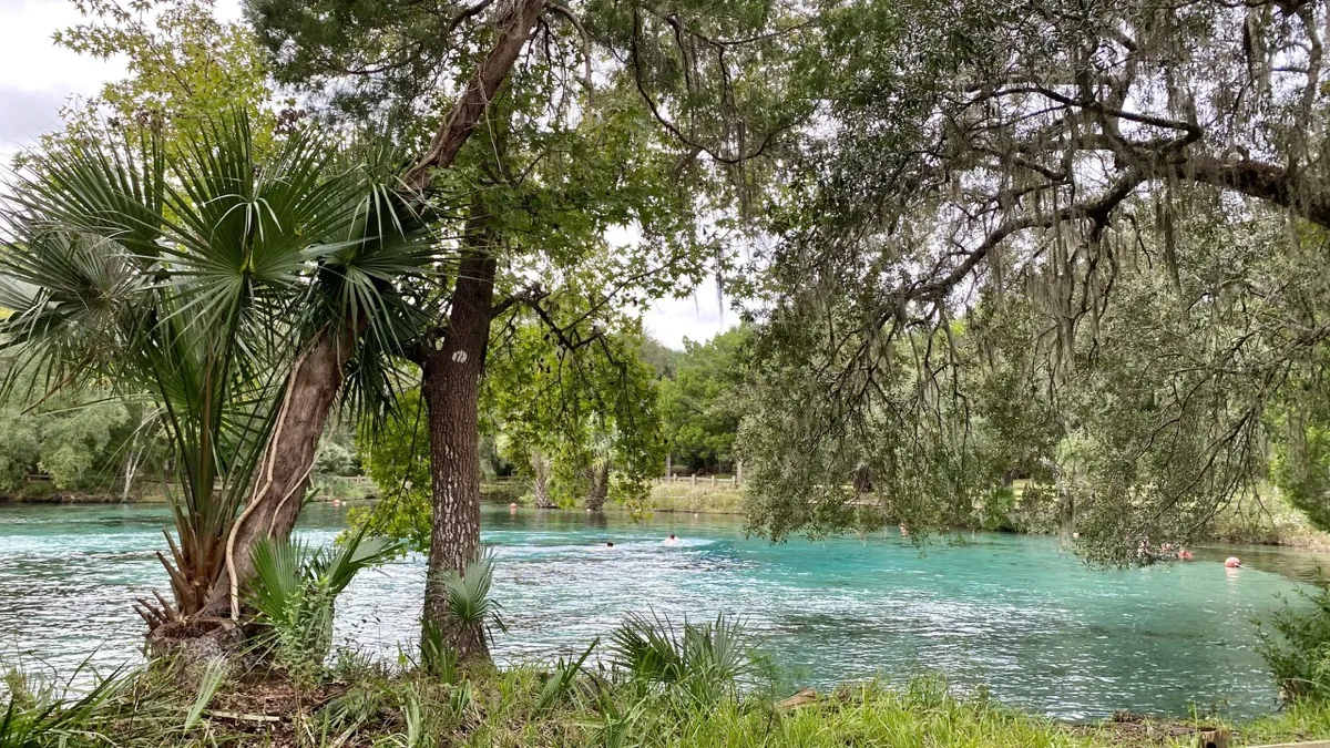Ocala National Forest