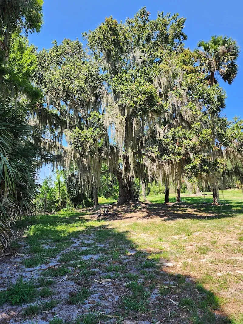 Sabal Bluff Preserve