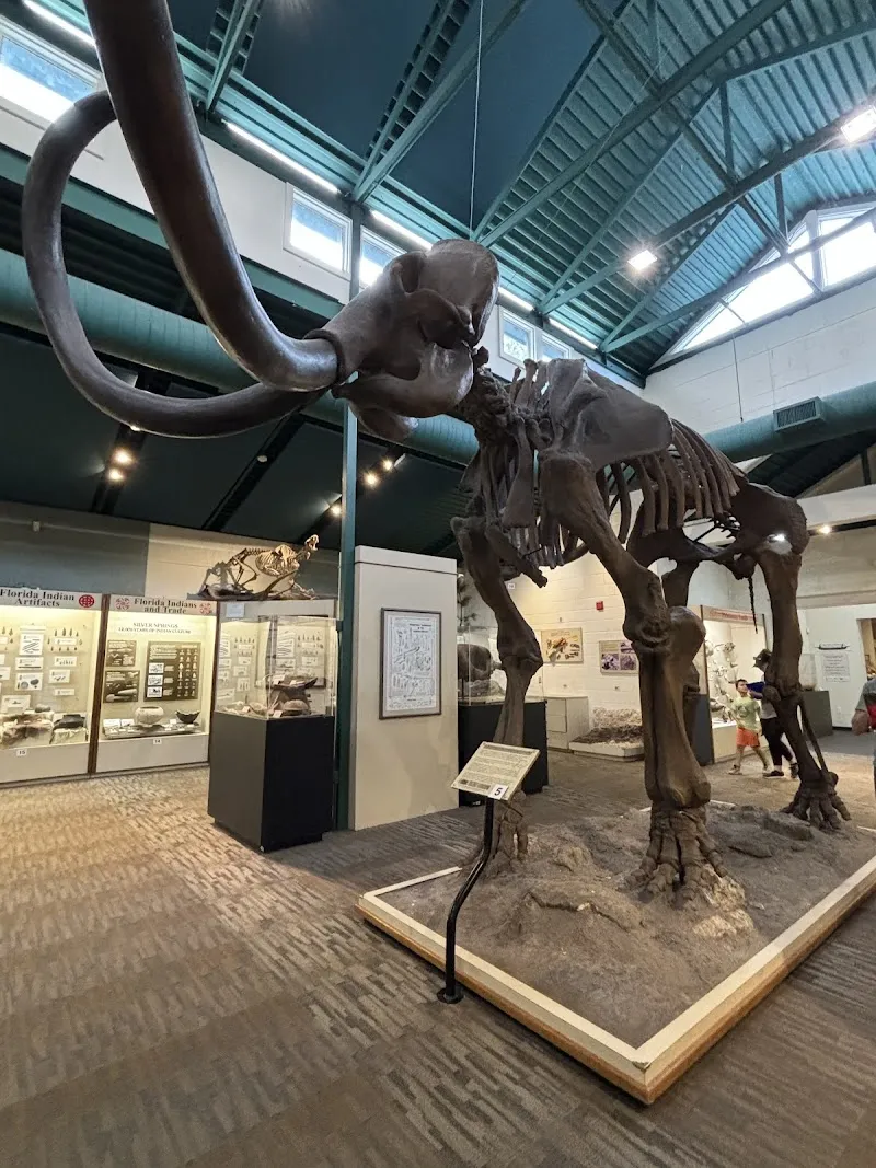 Silver River Museum & Environmental Education Center