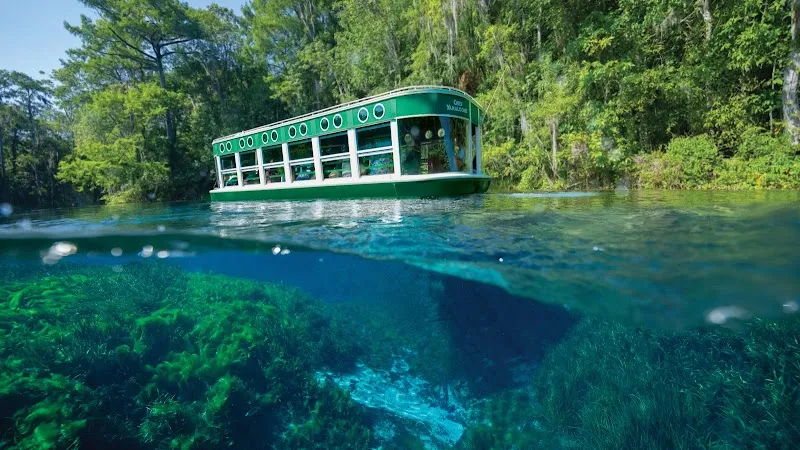 Silver Springs State Park Glass Bottom Boat Tours