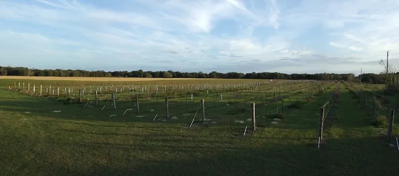 Strong Tower Vineyard & Winery