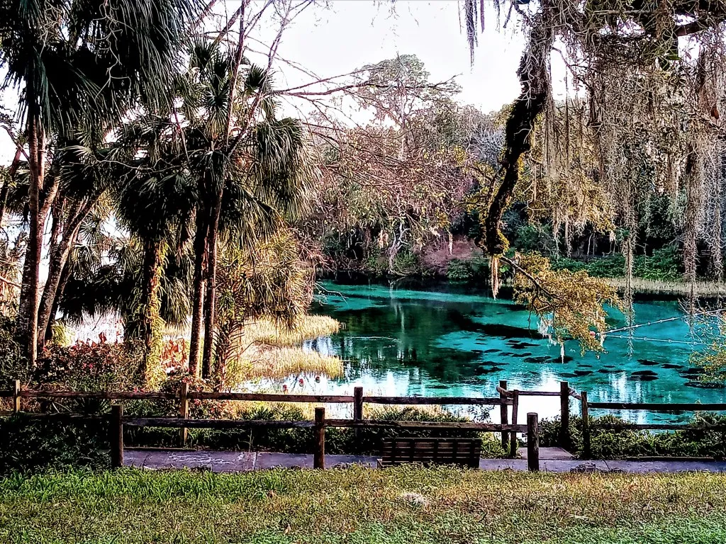 Swampy's Bar & Grille